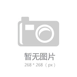 北京朗威達(dá)GZBD-II型高壓電網(wǎng)綜合保護(hù)器 礦用智能開(kāi)關(guān)保護(hù)裝置