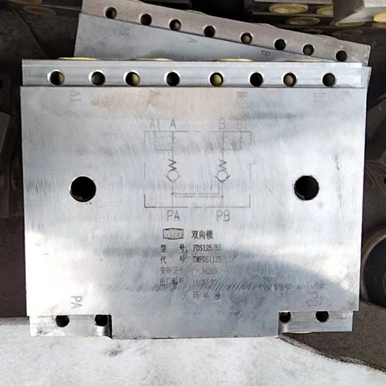 FDS80/50雙向鎖|鄭州煤機液壓電控有限公司