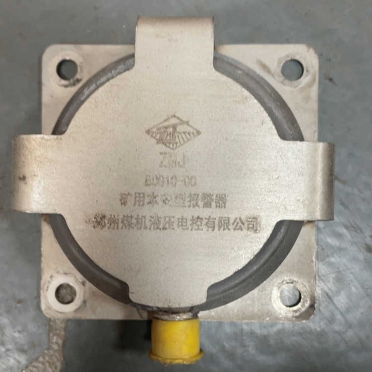 BCG10-00礦用本安型報(bào)警器 煤礦隔爆型語音報(bào)警裝置